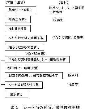 図1 シート苗の育苗、張り付け手順