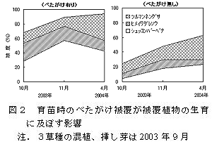 図2 育苗時のべたがけ被覆が被覆植物の生育 に及ぼす影響
