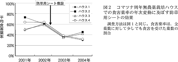 図2 コマツナ周年無農薬栽培ハ ウスでの食害葉率の年次変動に及 ぼす防草用シートの効果