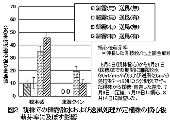 図2 親株での細霧散水および送風処理が定植株の摘心後萌芽率に及ぼす影響