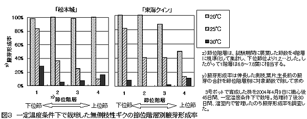 図3 一定温度条件下で栽培した無側枝性ギクの節位階層別腋芽形成率