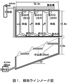 図1.棚田ライシメータ図