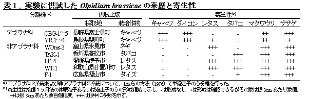 表1. 実験に供試したOlpidium brassicae の来歴と寄生性