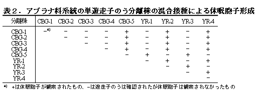 表2.アブラナ科系統の単遊走子のう分離株の混合接種による休眠胞子形成