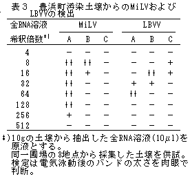 表3 豊浜町汚染土壌からのMiLVおよび LBVVの検出