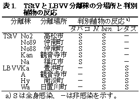 表1. TStVとLBVV分離株の分場所と判別 植物の反応