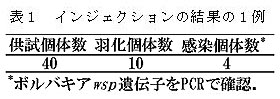 表1 インジェクションの結果の1例