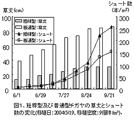 図1.短稈型及び普通型チガヤの草丈とシュート 数の変化