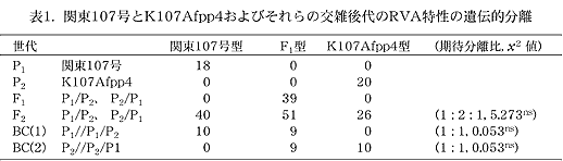 表1. 関東107 号とK107Afpp4 およびそれらの交雑後代のRVA 特性の遺伝的分離