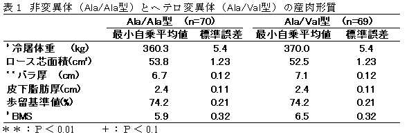 表1 非変異体(Ala/Ala型)とヘテロ変異体(Ala/Val型)の産肉形質