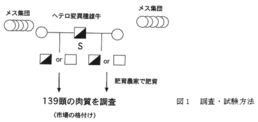 図1 調査・試験方法