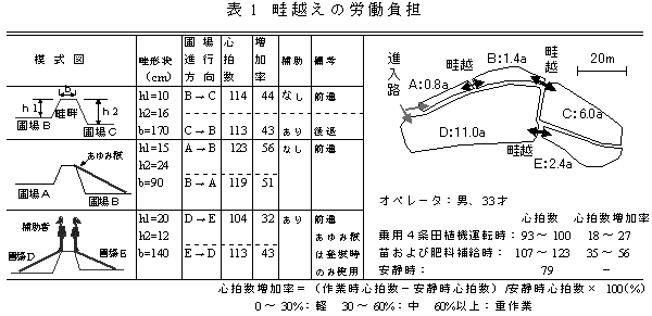 表1 畦越えの労働負担