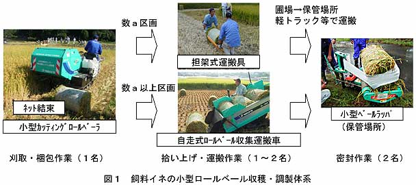 図1 飼料イネの小型ロールベール収穫・調製体系