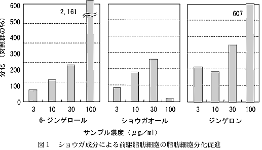 図1ショウガ成分による前駆脂肪細胞の脂肪細胞分化促進