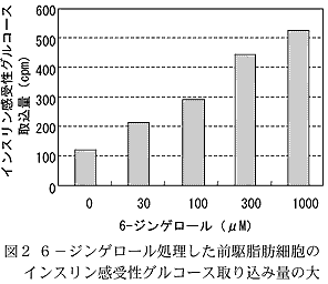 図2 6-ジンゲロール処理した前駆脂肪細胞のインスリン感受性グルコース取り込み量の増大
