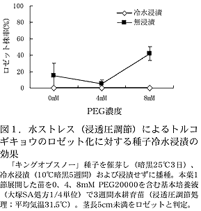 図1.水ストレス(浸透圧調節)によるトルコギキョウのロゼット化に対する種子冷水浸漬の効果