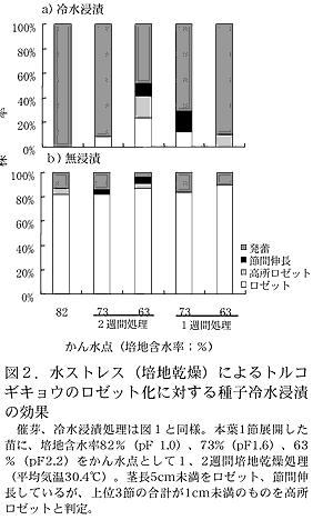 図2.水ストレス(培地乾燥)によるトルコギキョウのロゼット化に対する種子冷水浸漬の効果