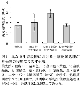 図1 異なる生育段階における土壌乾燥処理が莢先熟の程度に及ぼす影響