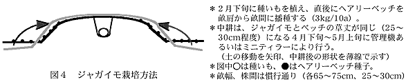 図4 ジャガイモ栽培方法