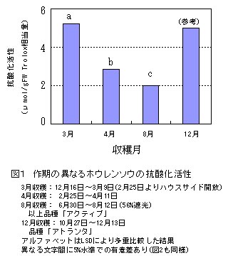 図1 作期の異なるホウレンソウの抗酸化活性