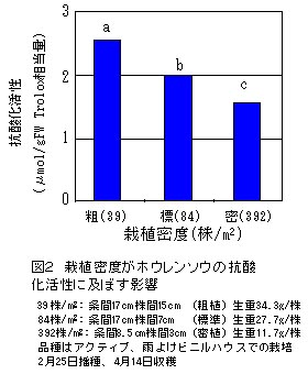 図2 栽植密度がホウレンソウの抗酸化活性に及ぼす影響
