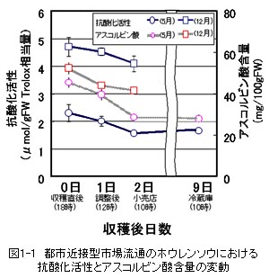 図1-1 都市近接型市場流通のホウレンソウにおける抗酸化活性とアスコルビン酸含量の変動