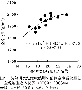 図2 黄熟期または成熟期の稲体窒素吸収量と全乾物重との関係(2003～2005年)