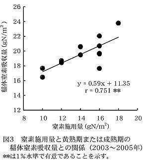 図3 窒素施用量と黄熟期または成熟期の稲体窒素吸収量との関係(2003～2005年)