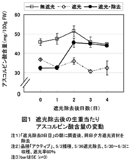 図1 遮光除去後の生重当たりアスコルビン酸含量の変動