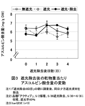 図3 遮光除去後の乾物重当たりアスコルビン酸含量の変動
