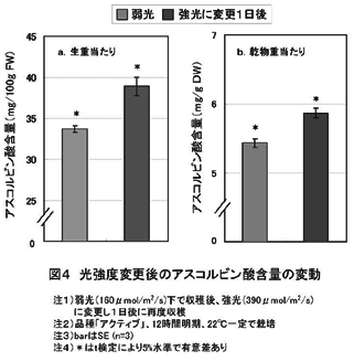 図4 光強度変更後のアスコルビン酸含量の変動