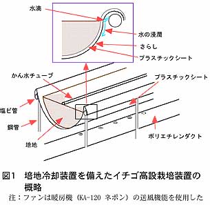 図1 培地冷却装置を備えたイチゴ高設栽培装置の概略
