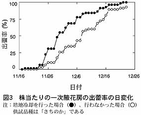 図3 株当たりの一次腋花房の出蕾率の日変化