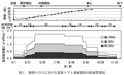 図1 傾斜ハウスにおける夏秋トマト養液栽培の給液管理法