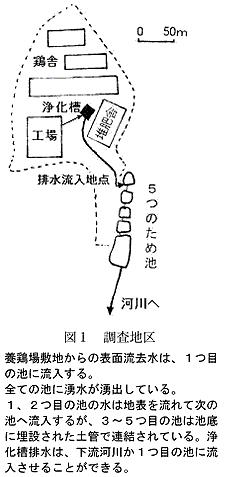 図1 調査地区