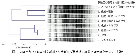 図1 DGGEパターンに基づく堆肥・ワラ併用試験土壌の細菌フロラのクラスター解析