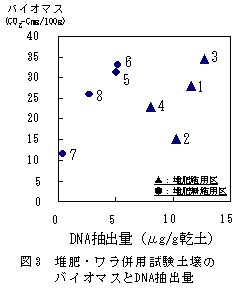 図3 堆肥・ワラ併用試験土壌のバイオマスとDNA抽出量