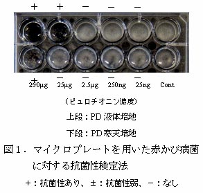 図1.マイクロプレートを用いた赤かび病菌に対する抗菌性検定法