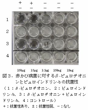 図3.赤かび病菌に対するβ-ピュロチオニンとピュロインドリン-bの抗菌性
