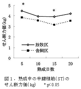 図1.熟成中の半腱様筋(ST)の
せん断力価(kg)