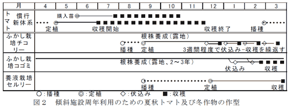 図2 傾斜施設周年利用のための夏秋トマト及び冬作物の作型