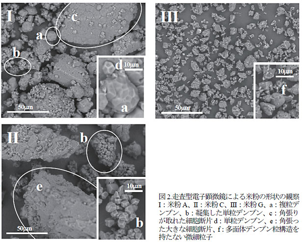 図2.走査型電子顕微鏡による米粉の形状の観察