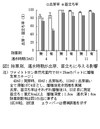 図2 除草剤、湛水時期が出芽、苗立ちに与える影響