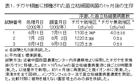 表1.チガヤ根圏に接種された苗立枯細菌病菌の1ヶ月後の生存