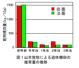 図1 山羊放牧による遊休棚田の雑草量の推移