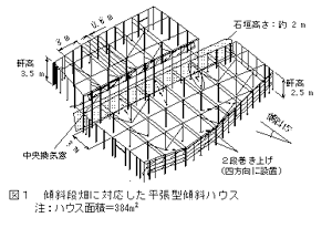 図1 傾斜段畑に対応した平張型傾斜ハウス