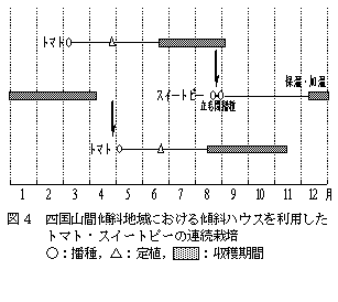 図4 四国山間傾斜地域における傾斜ハウスを利用したトマト・スイートピーの連続栽培