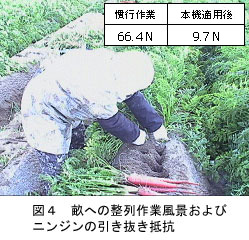 図4 畝への整列作業風景およびニンジンの引き抜き抵抗