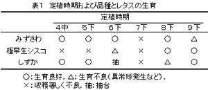 表1 定植時期および品種とレタスの生育