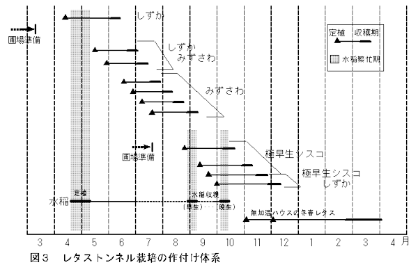 図3 レタストンネル栽培の作付け体系